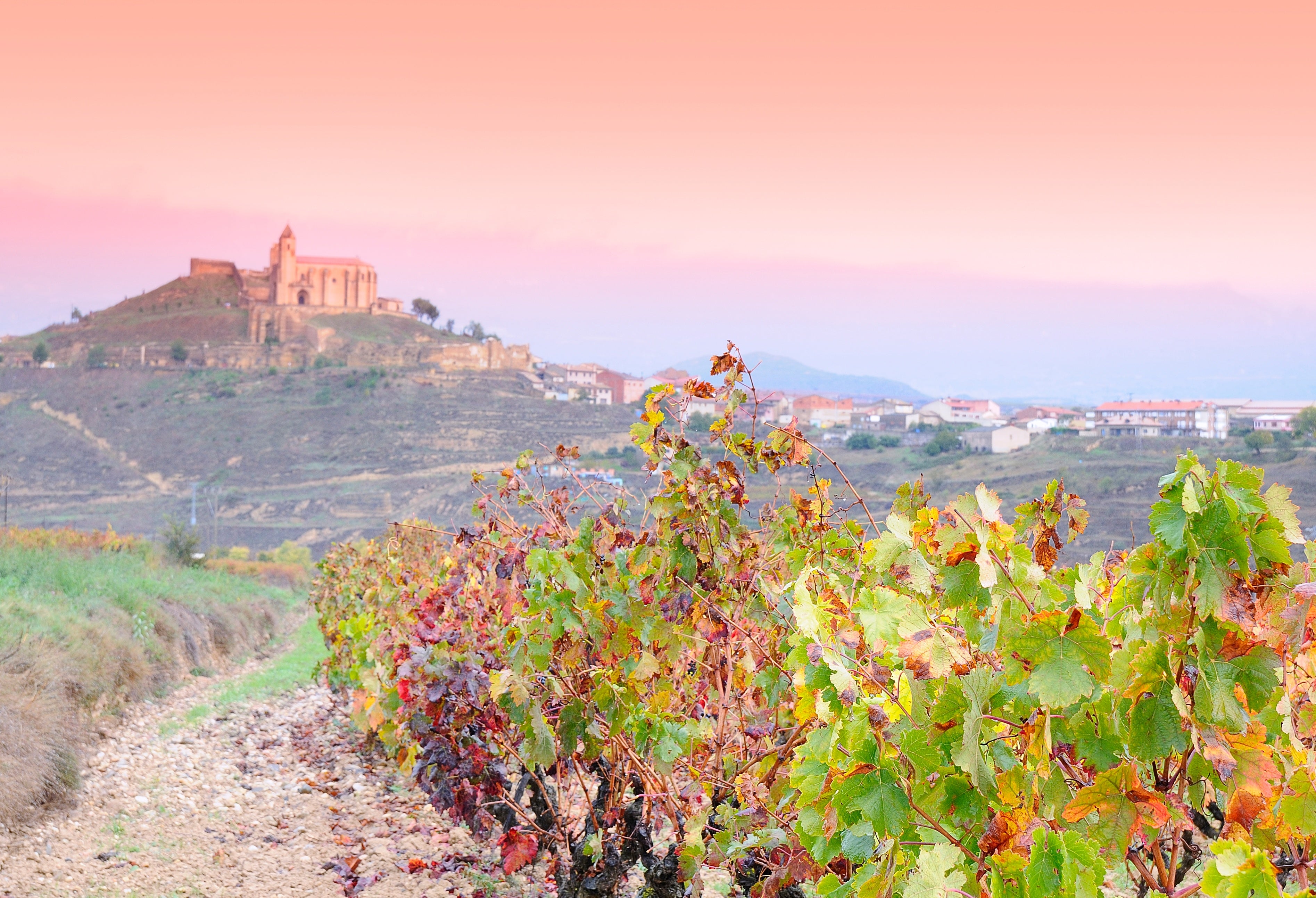 9 Favorite Wine Tasting Regions from My Travels