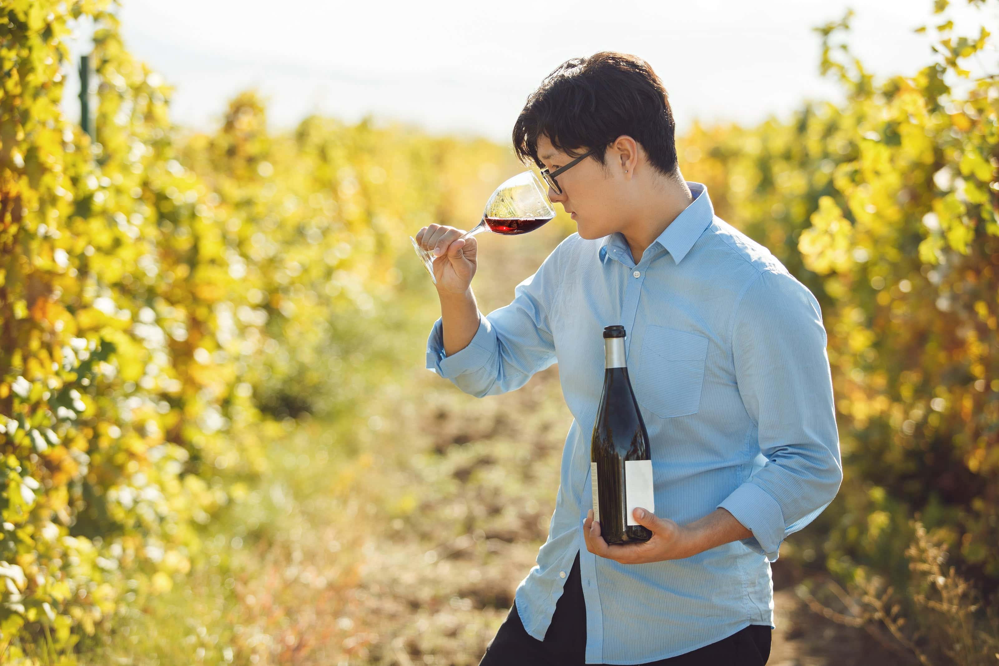 Unveiling the Art of Sommeliers: A Journey into Wine Expertise