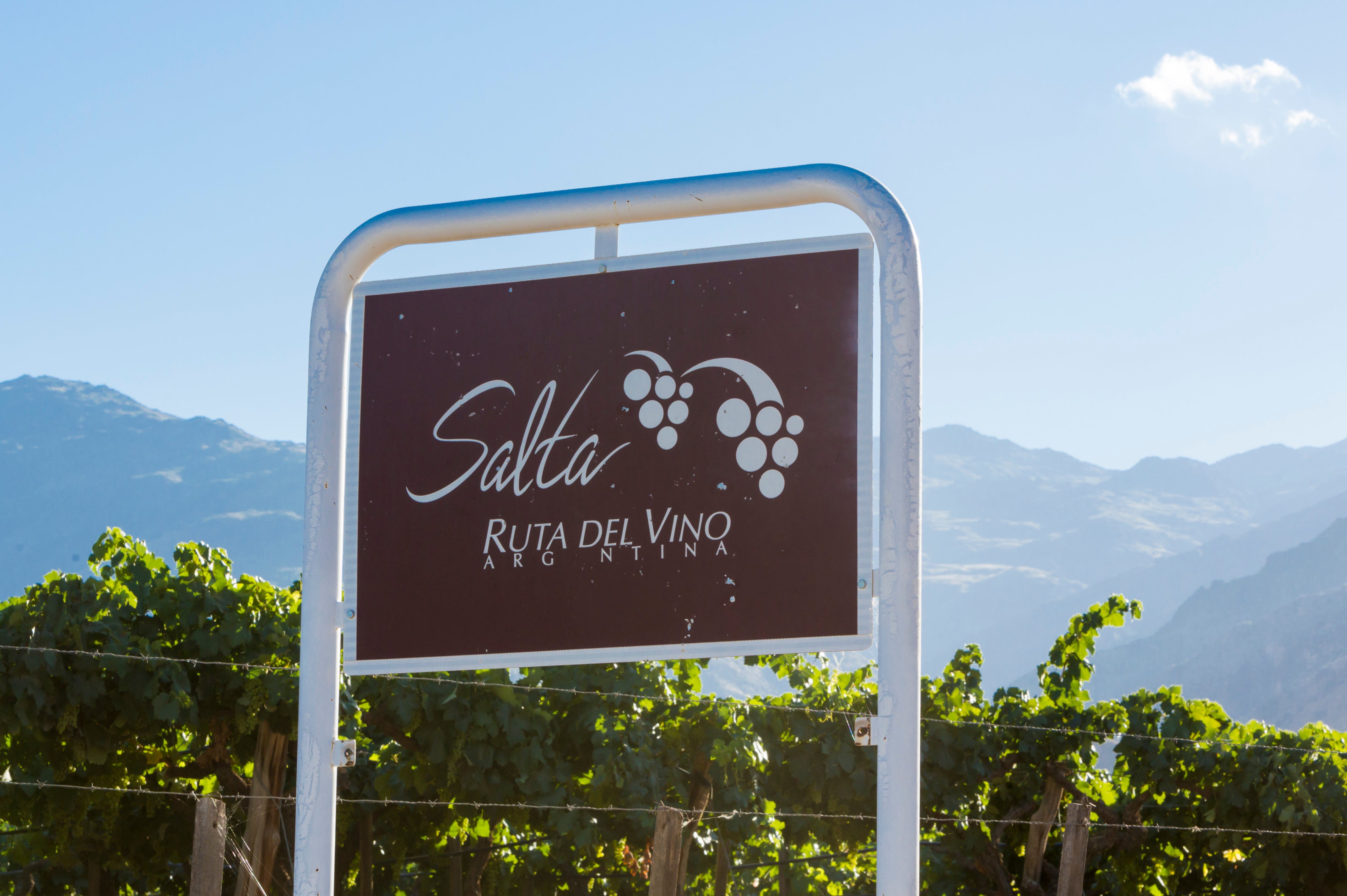 Road Tripping and Wine Tatsing through Salta Wine Country